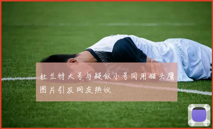 杜兰特大号与疑似小号同用猫头鹰图片引发网友热议